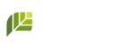 Pielawen | Cuidado Natural - Hecho en Chile